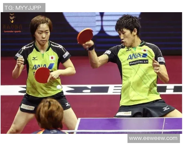 杭州乒乓球队转换打法的深度分析与战术演变探讨